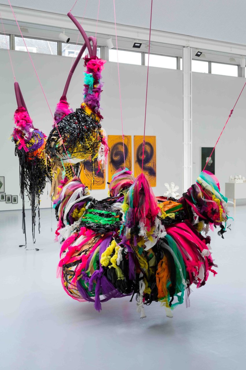 Installation view, ‘We Contain Multitudes’, Dundee Contemporary Arts, Dundee, UK. Photo credit: Ruth Clark. Image courtesy of the Artist, ActionSpace and Dundee Contemporary Arts.