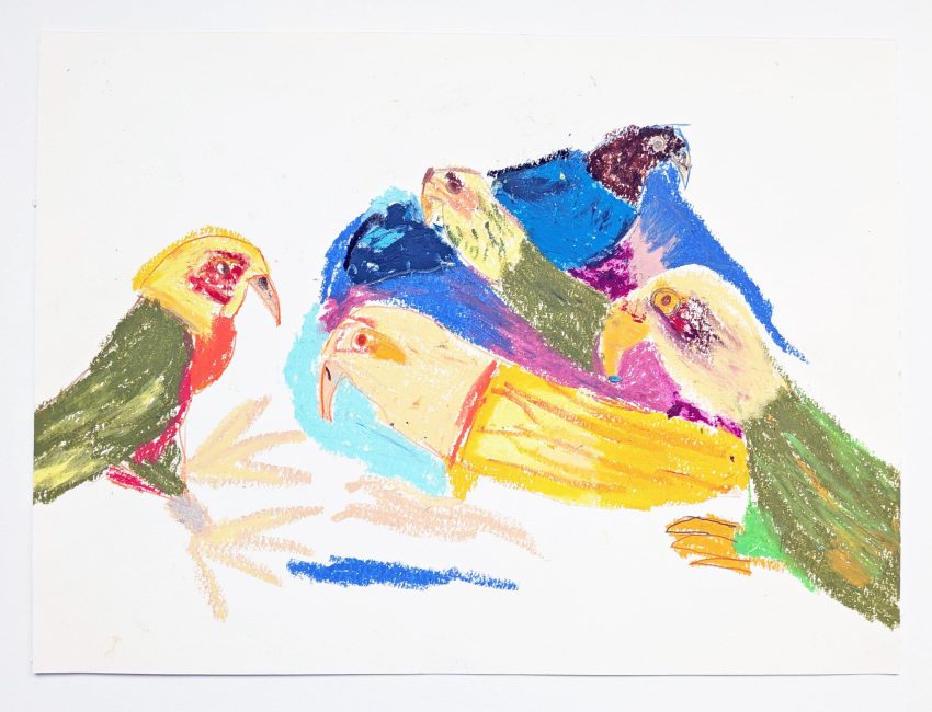The Birds, September 2025. Oil pastel on paper, 400 x 300 cm. Image courtesy of the Artist and ActionSpace.