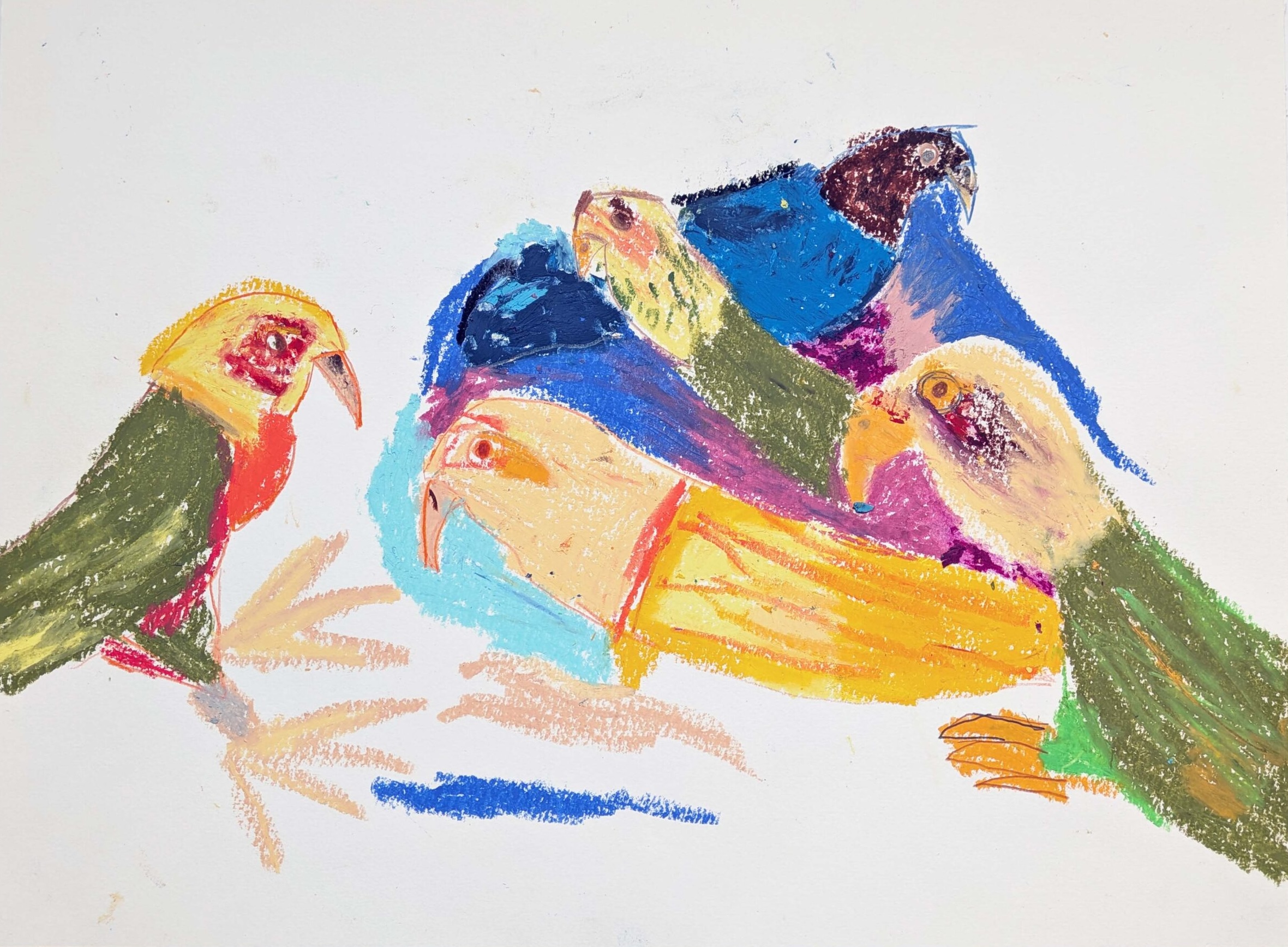 Oil drawing of a group of colourful birds