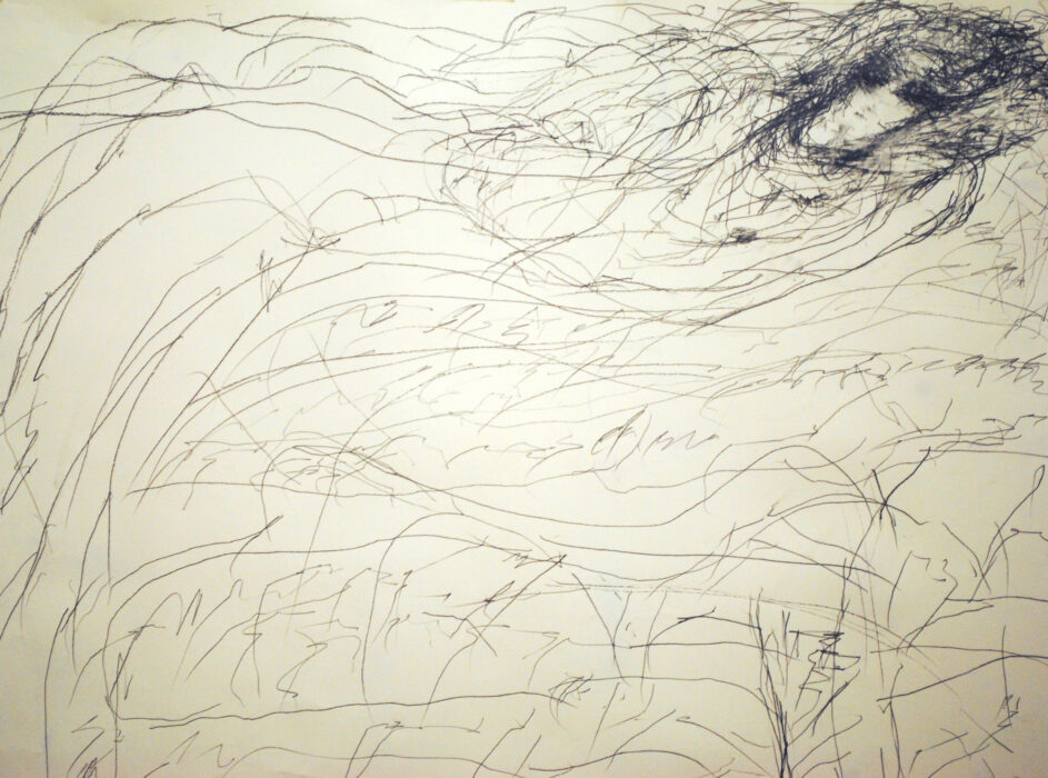 Nigel's artwork, a pencil drawing of a woman. The lines are spaced far apart, but more concentrated around her face. The result has a wispy, dream like quality.