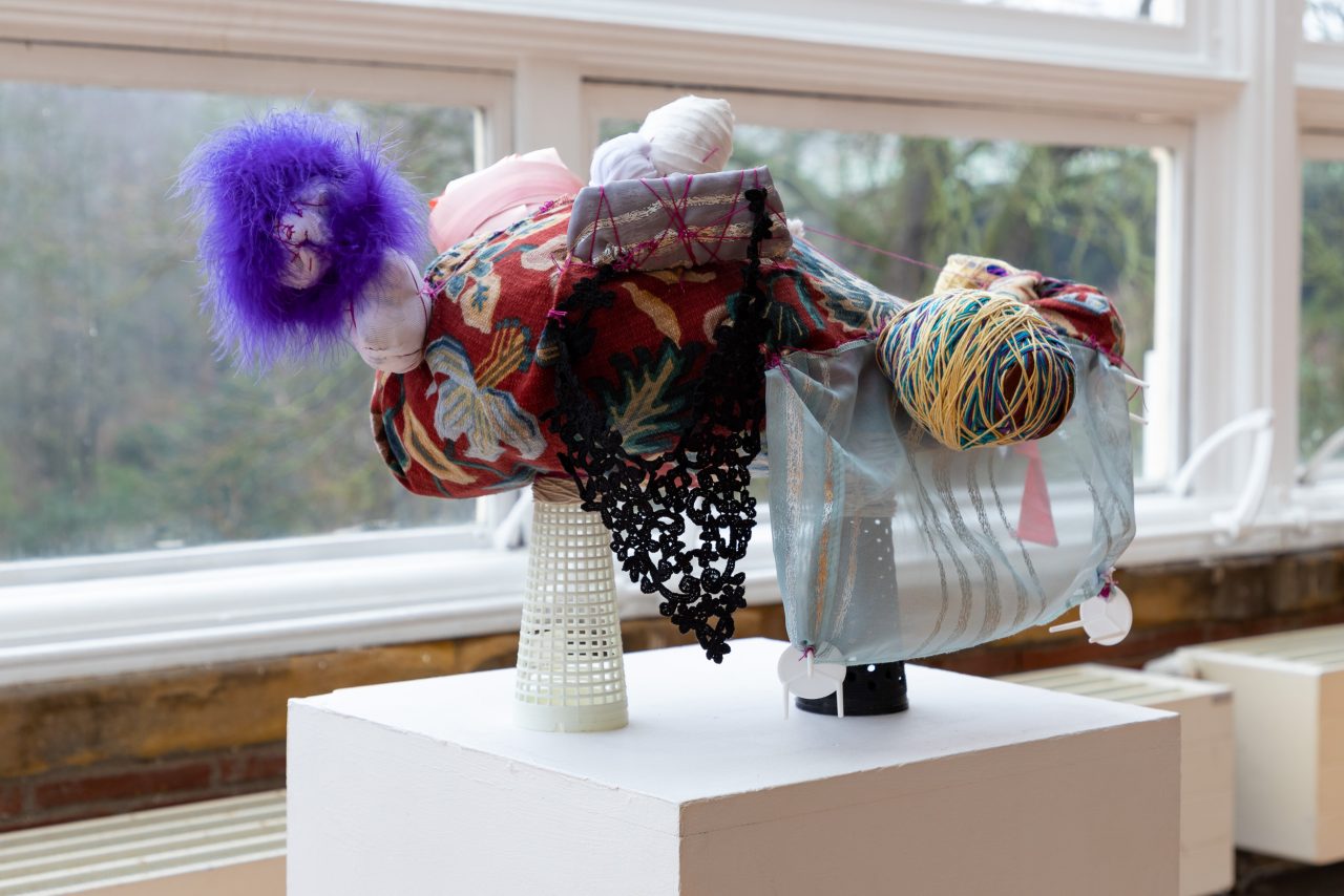 Photo credit: Jules Lister. Image courtesy of the Artist, ActionSpace and Woodend Gallery