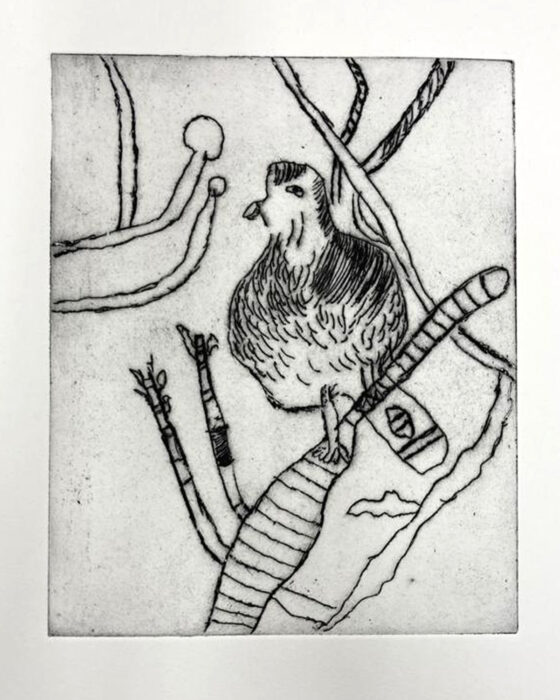 Adam Crown's artwork, a stylised print of a bird on a twig. The background is white and the ink is black.