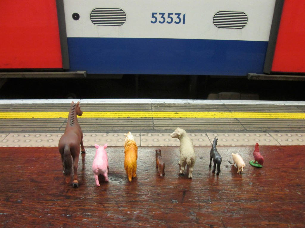8 small farmyard animal toys are on wooden bench, facing outward towards the tube door on the underground.